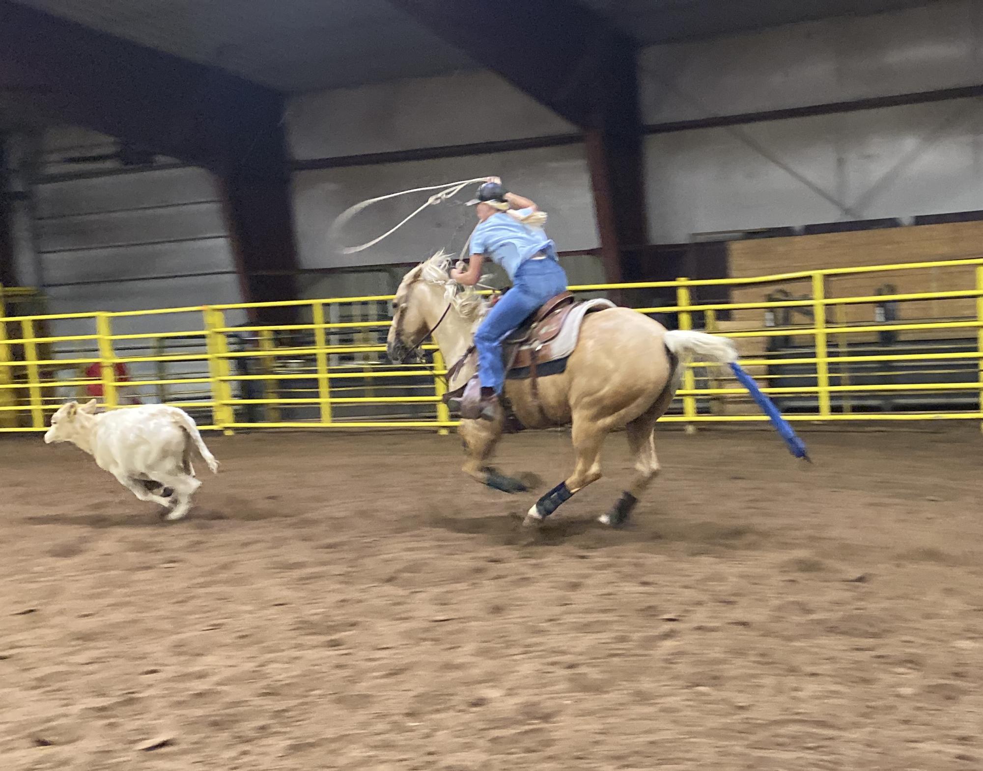 Behind the chutes | BHSU Media